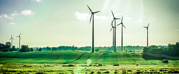 Windmills in a Green Field)