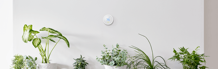 Nest Smart Thermostat hanging above a row of houseplants )