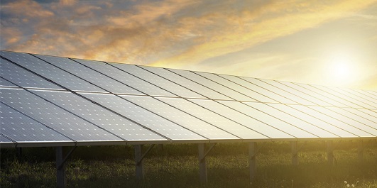 Solar panels aligned in an array being hit by sunlight)