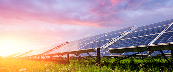 Array of solar panels in field of grass)